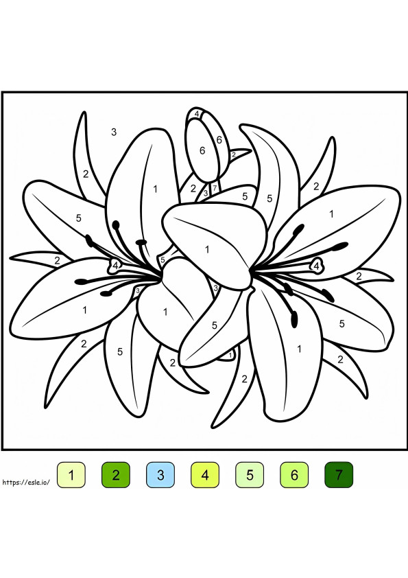 Kolorowanie kwiatów lilii według numerów kolorowanka
