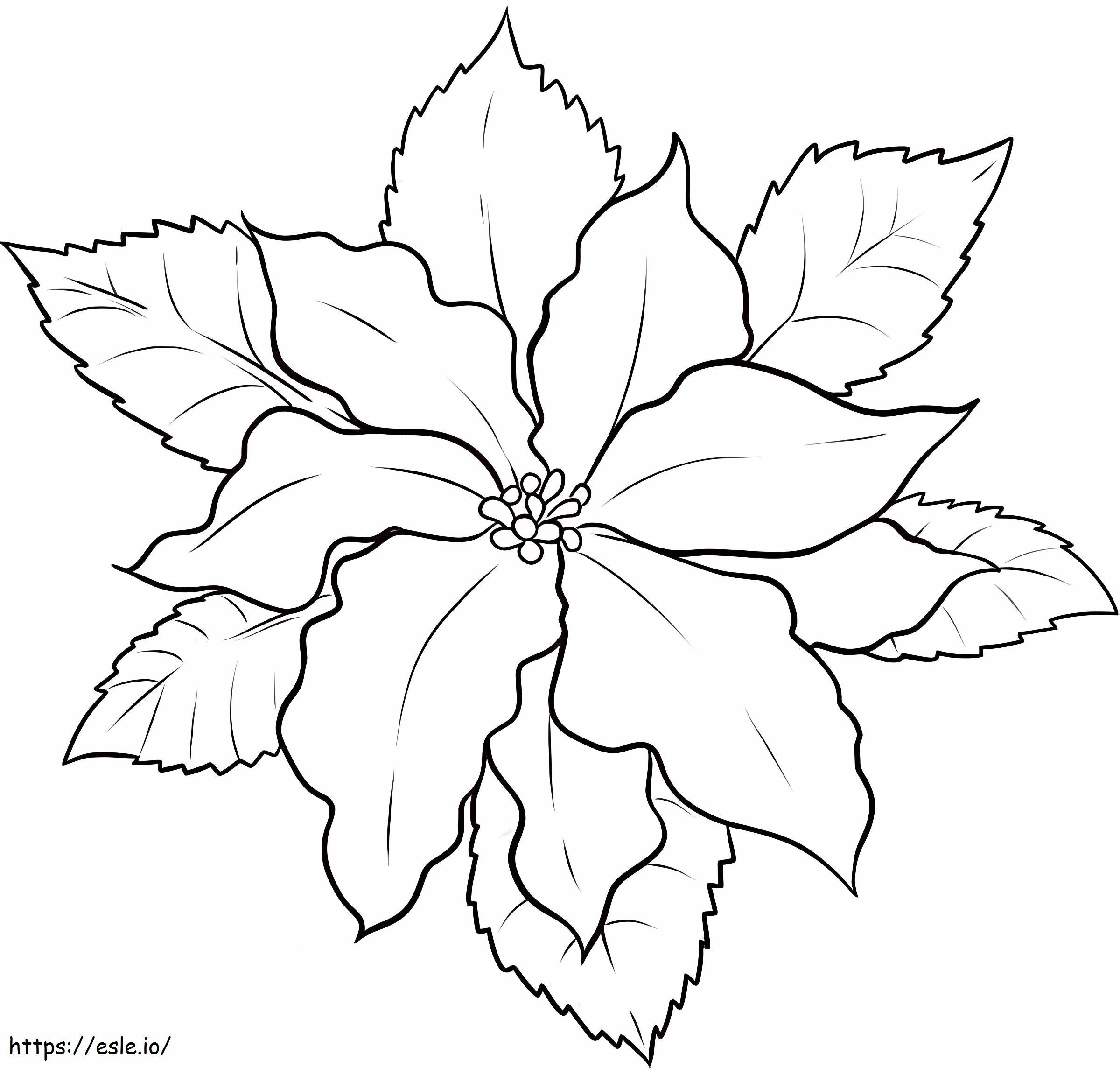 Fresh Poinsettia coloring page