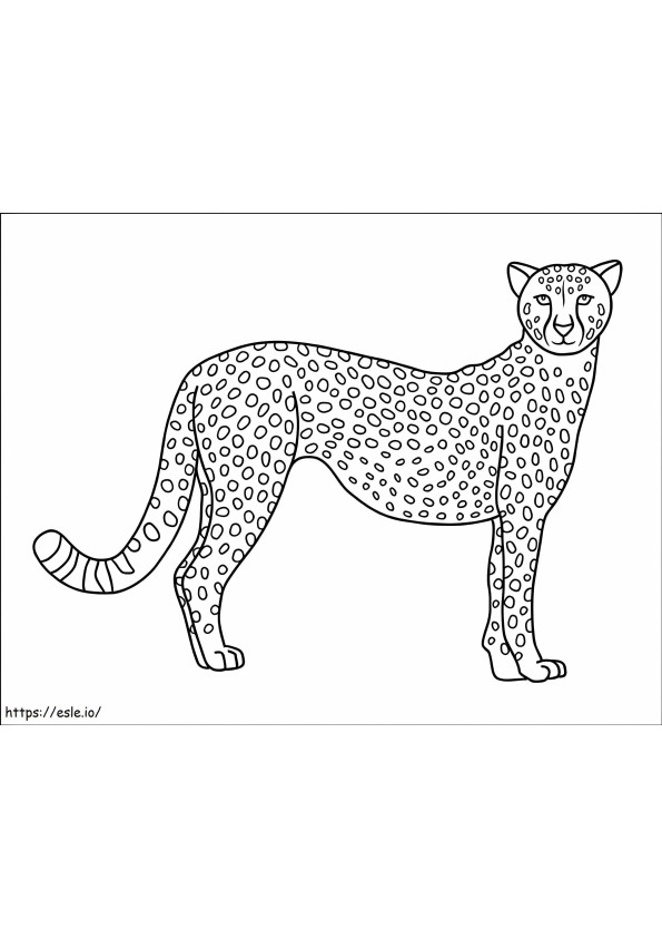 Geweldige Cheetah kleurplaat