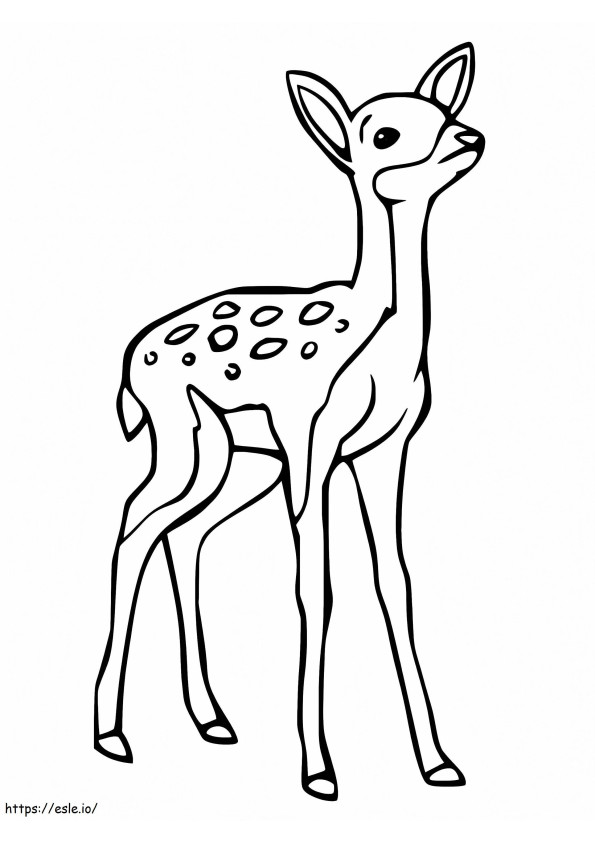 Fawn Baby Deer värityskuva