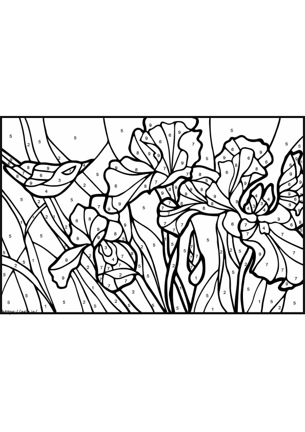 Lilies Color By Number coloring page