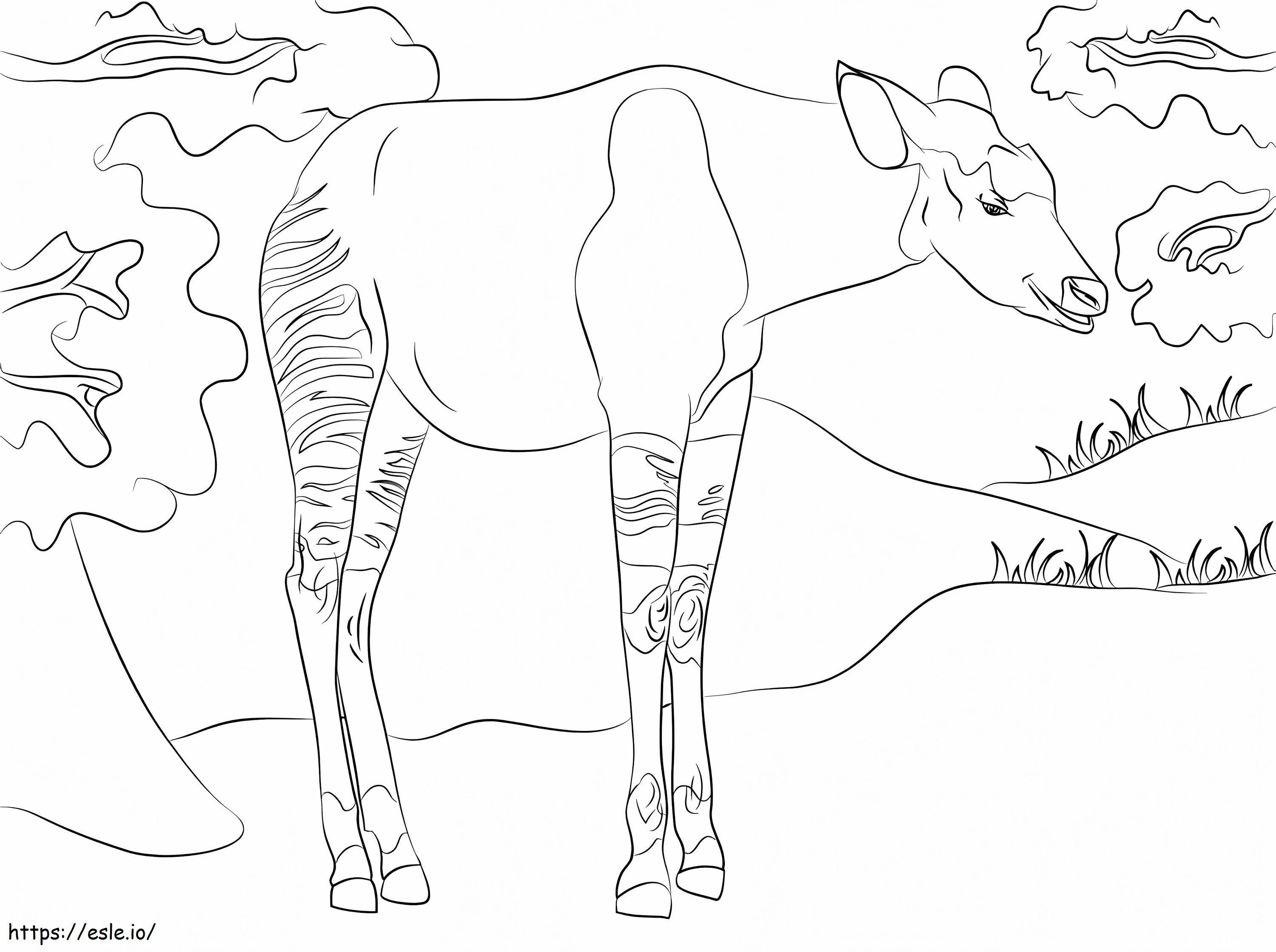 Yazdırılabilir Okapi boyama