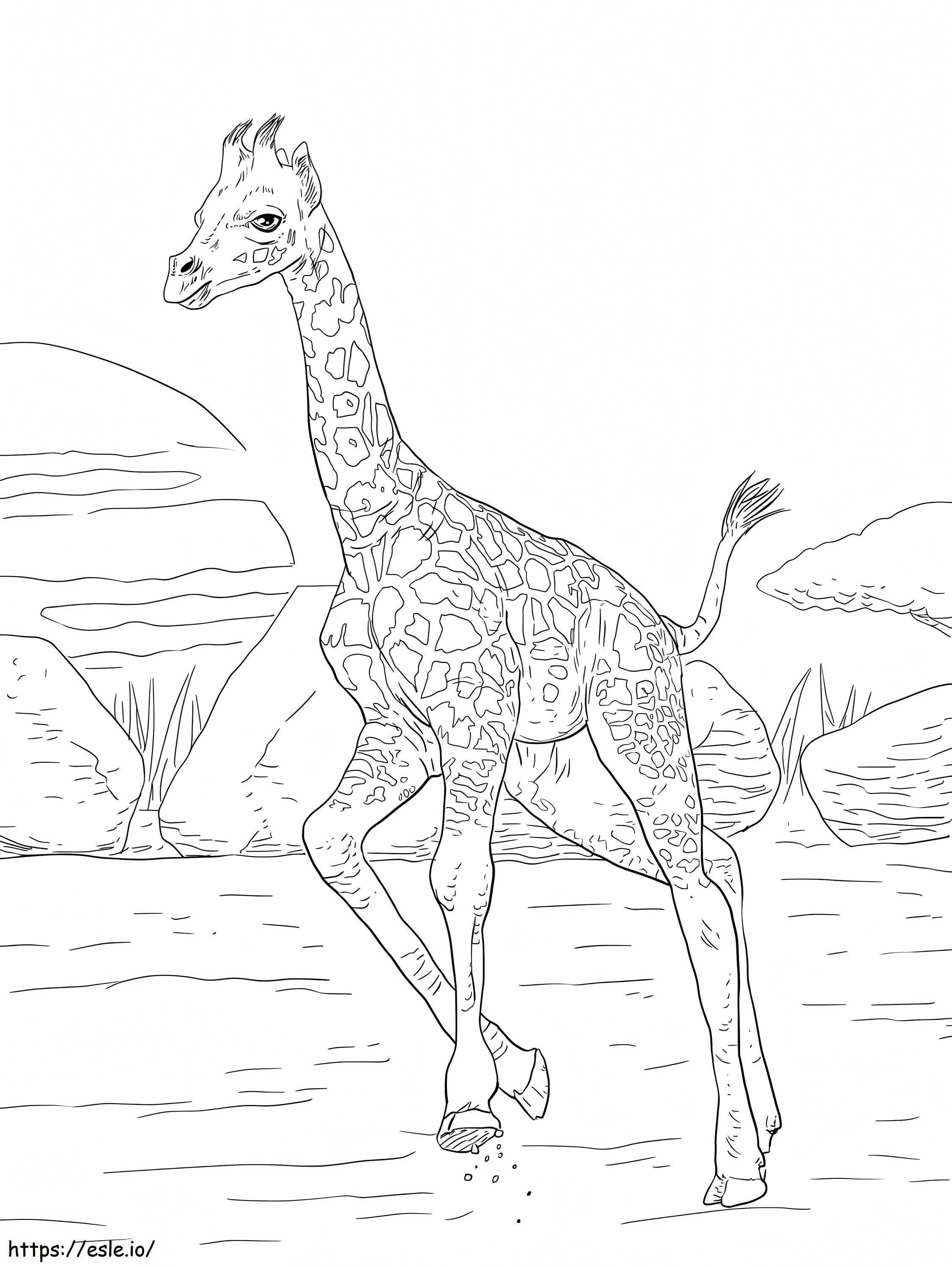 Stampa Giraffa da colorare