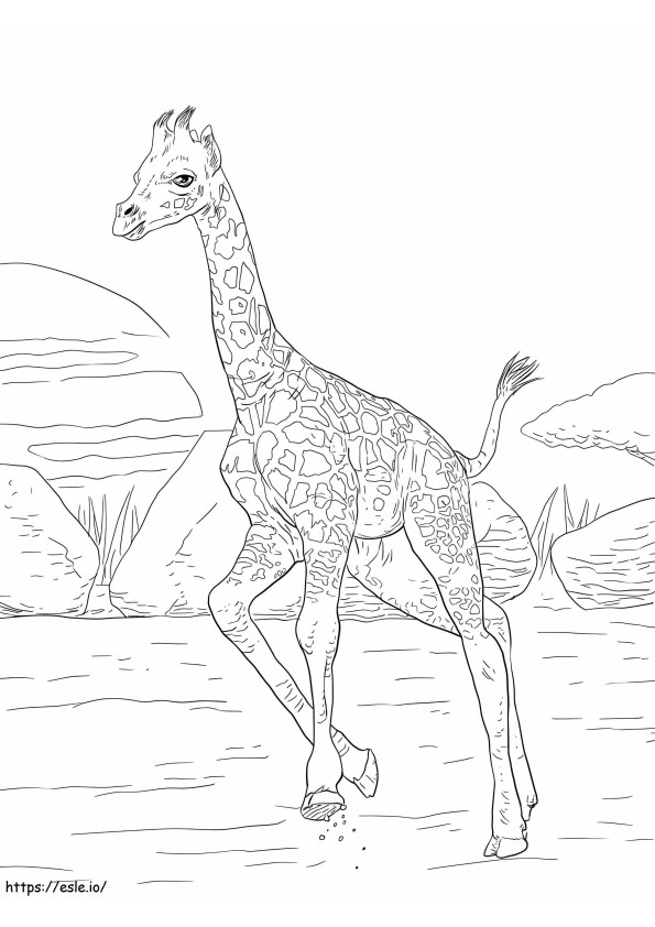 Coloriage Imprimer Girafe à imprimer dessin
