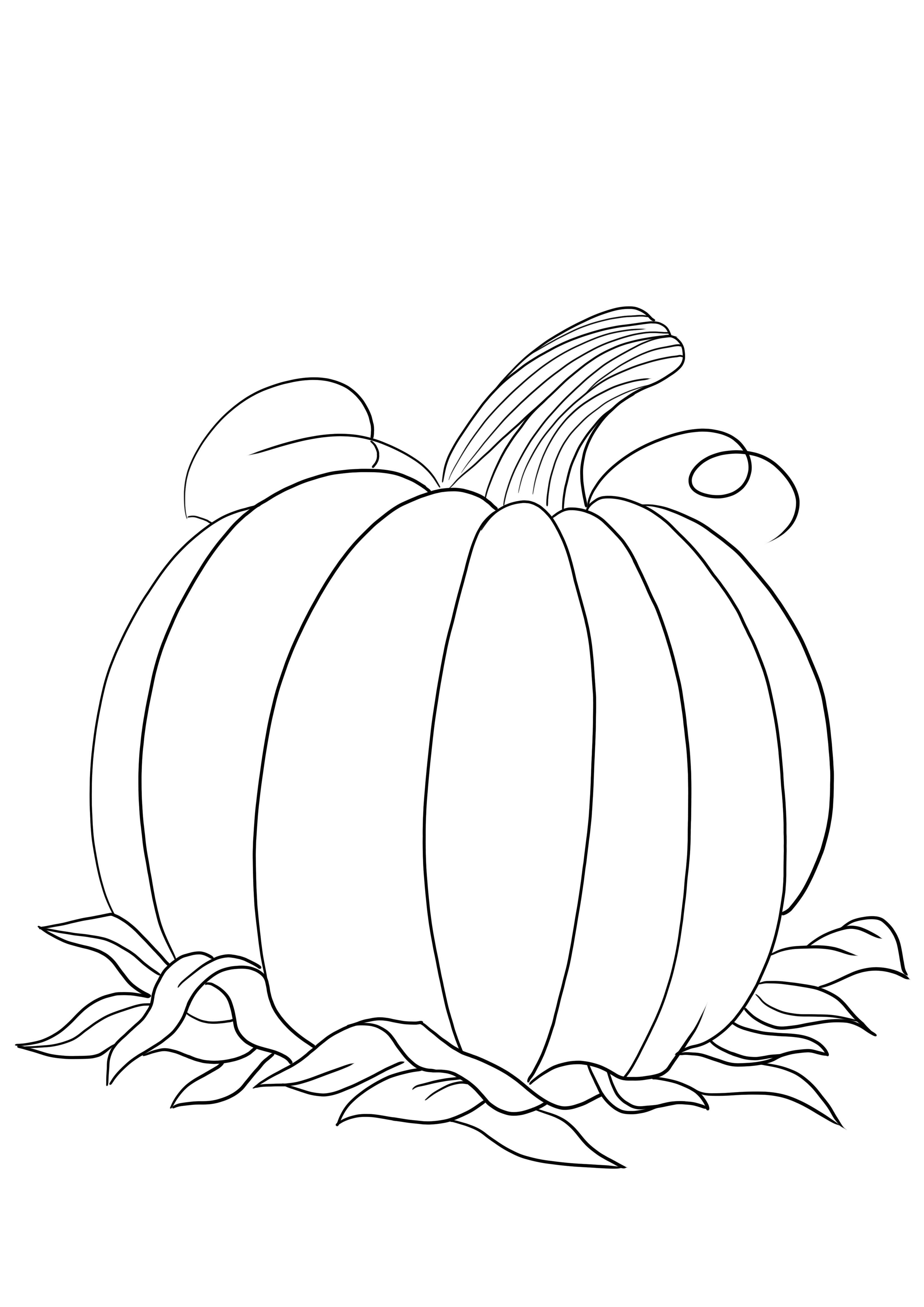 A blank pumpkin free printable for easy coloring