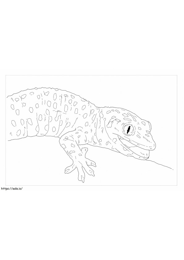 Tokay-Gecko ausmalbilder