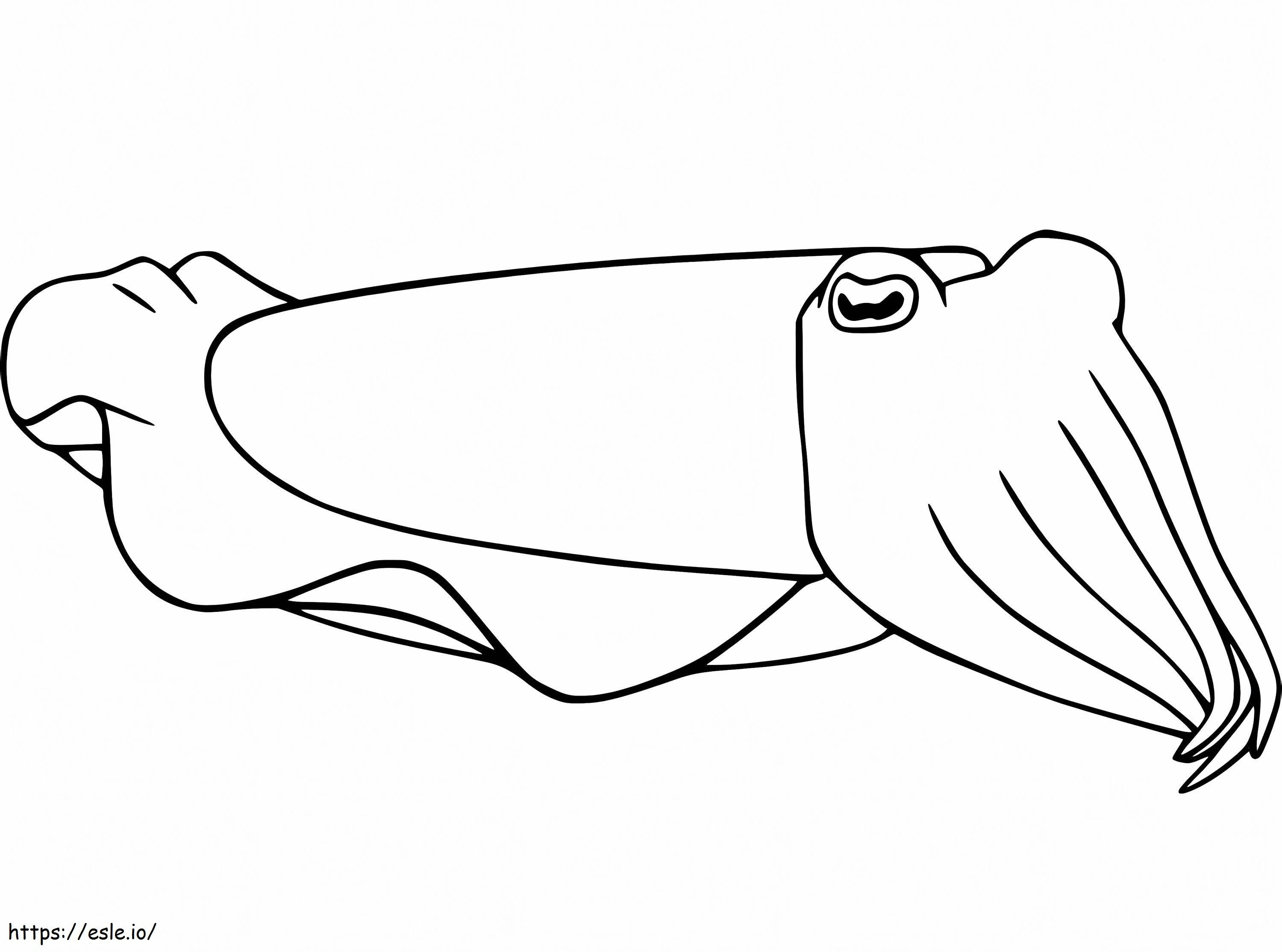 Free Cuttlefish coloring page
