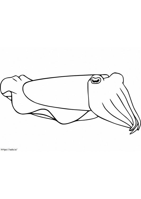 Free Cuttlefish coloring page