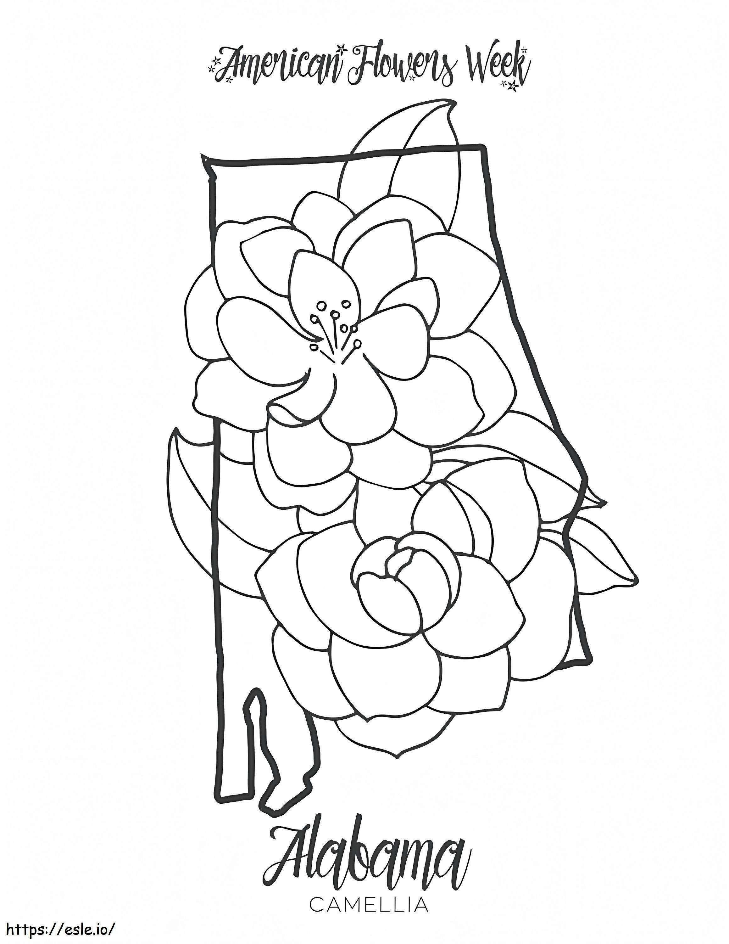 Flor do Estado Alabama Camélia para colorir