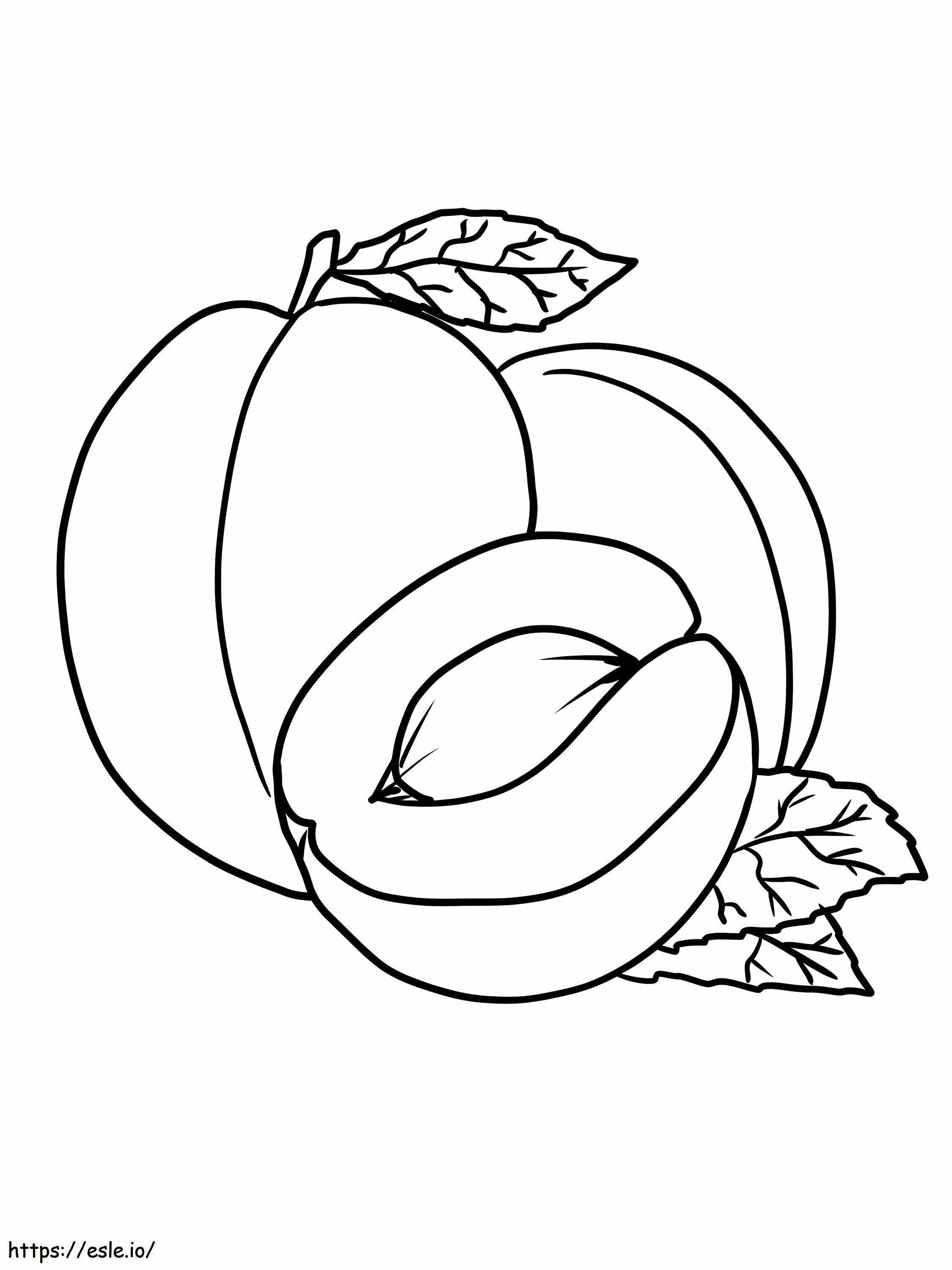 Apricot 2 coloring page