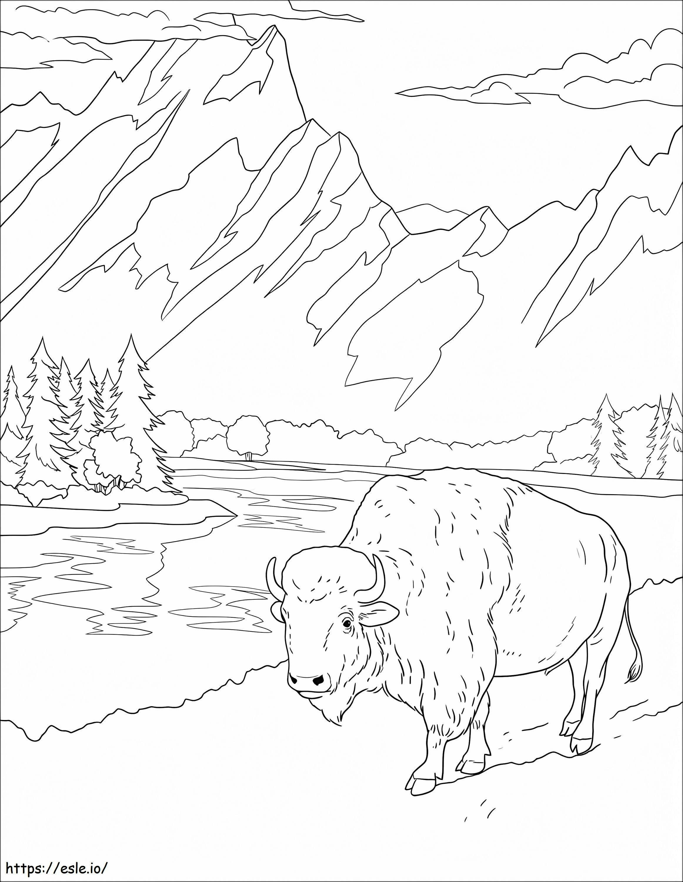 Wild Bison coloring page
