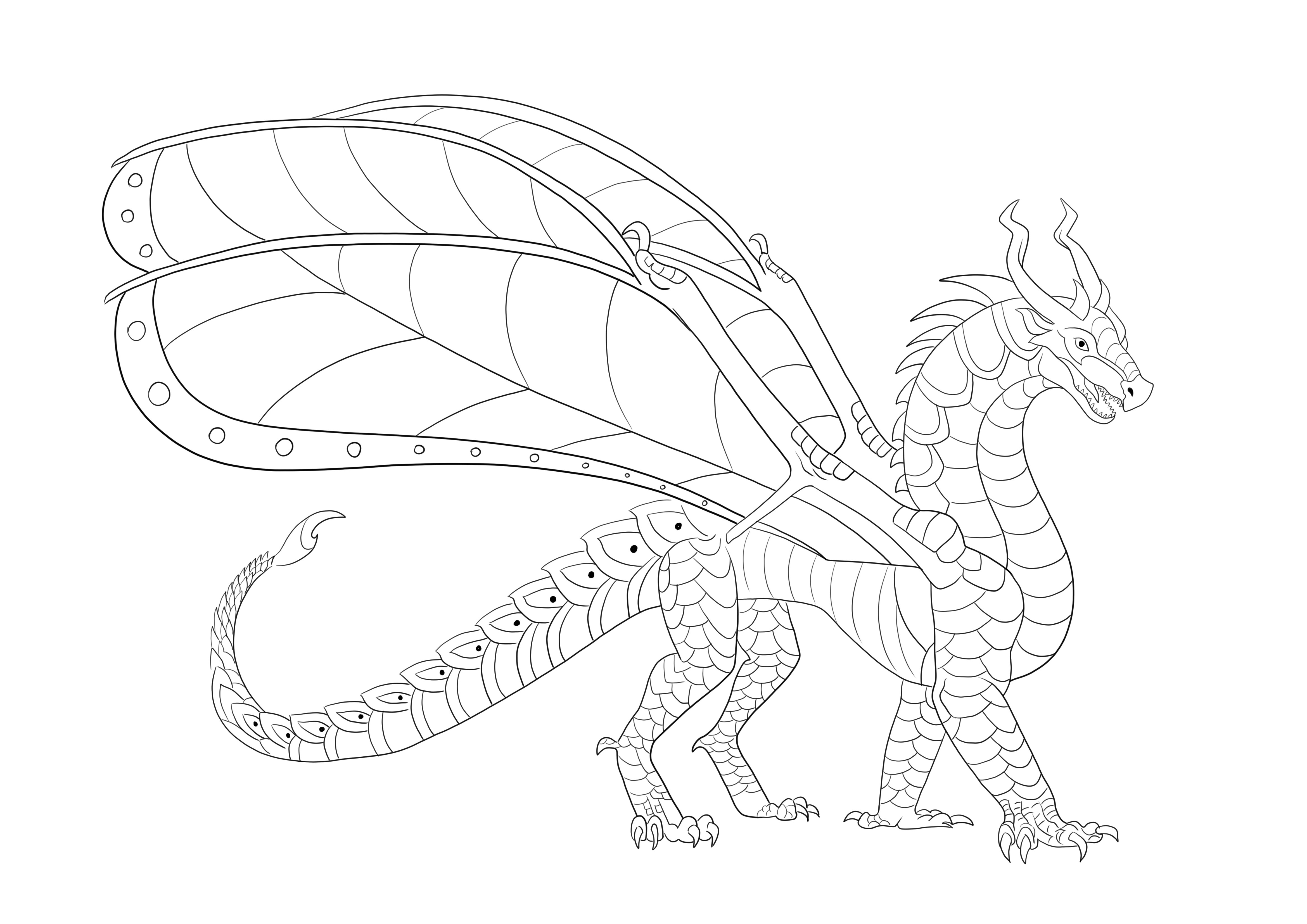 Hawkwing dragon descarga gratuita o imprime para colorear
