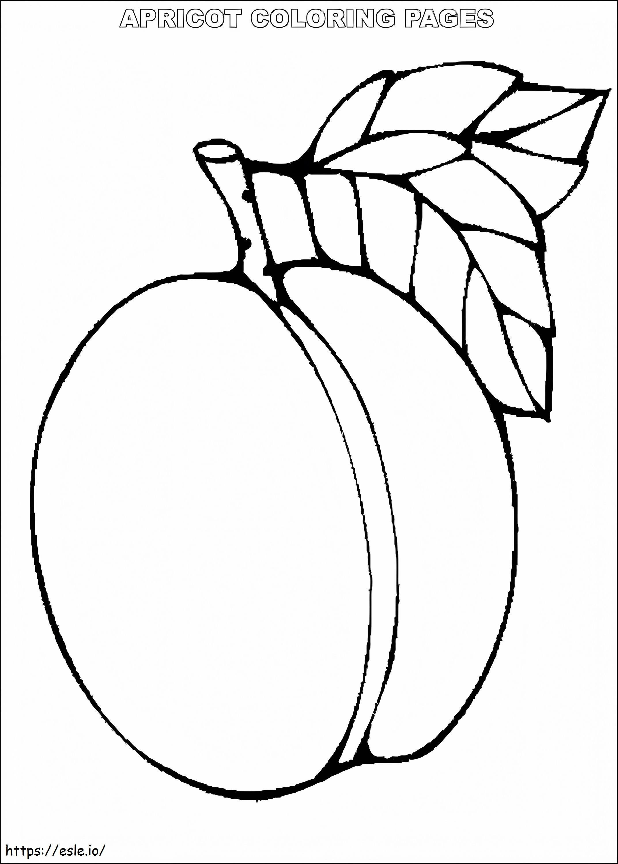 Yksinkertainen aprikoosi värityskuva