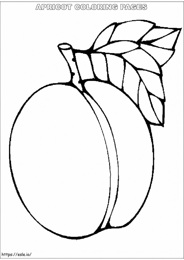 Coloriage Abricot simple à imprimer dessin