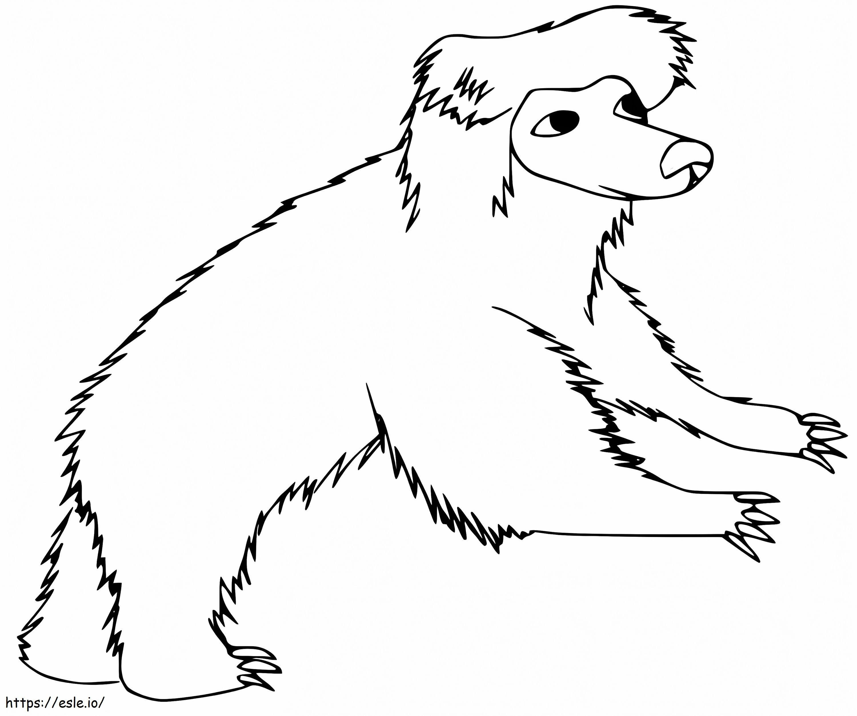 Um urso-preguiça para colorir