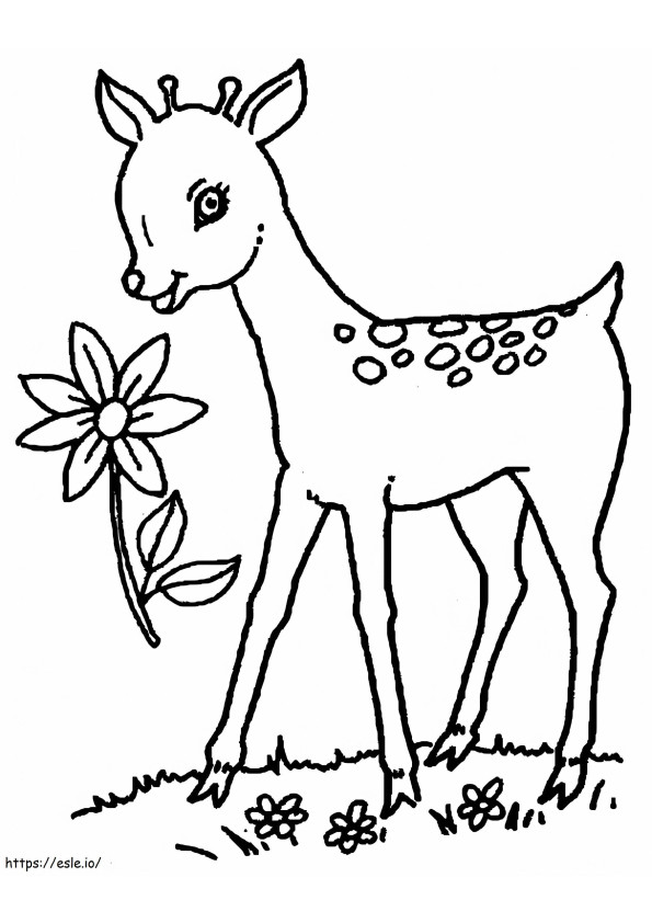Coloriage Cerf et fleur à imprimer dessin