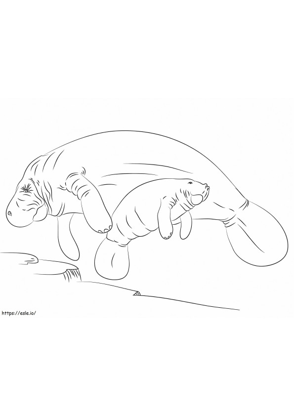 Coloriage Mère et bébé lamantin à imprimer dessin
