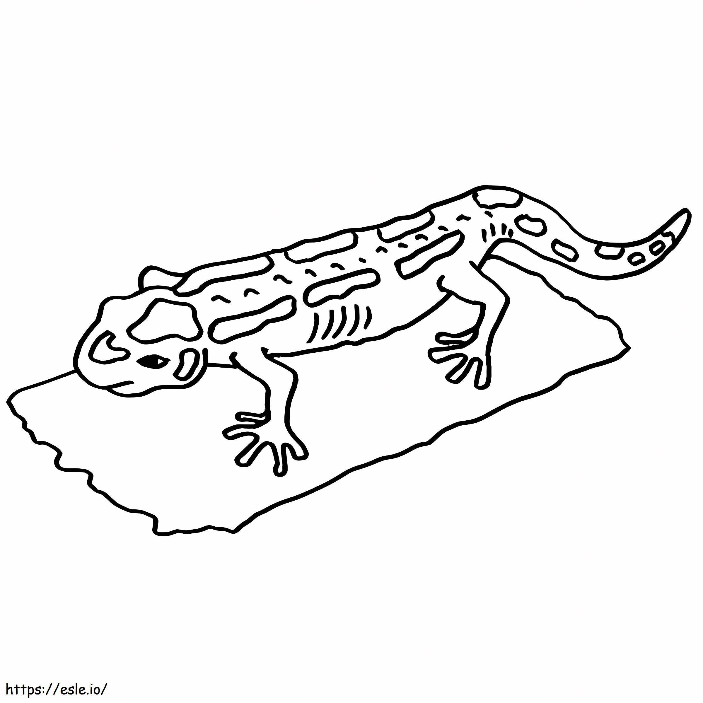 Printable Salamander coloring page