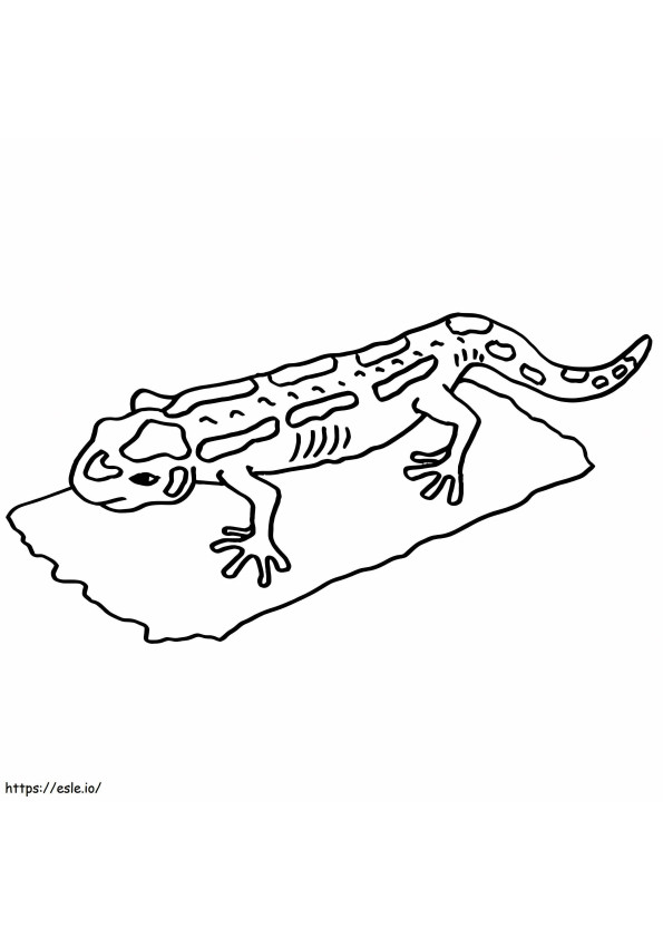 Tulostettava Salamander värityskuva