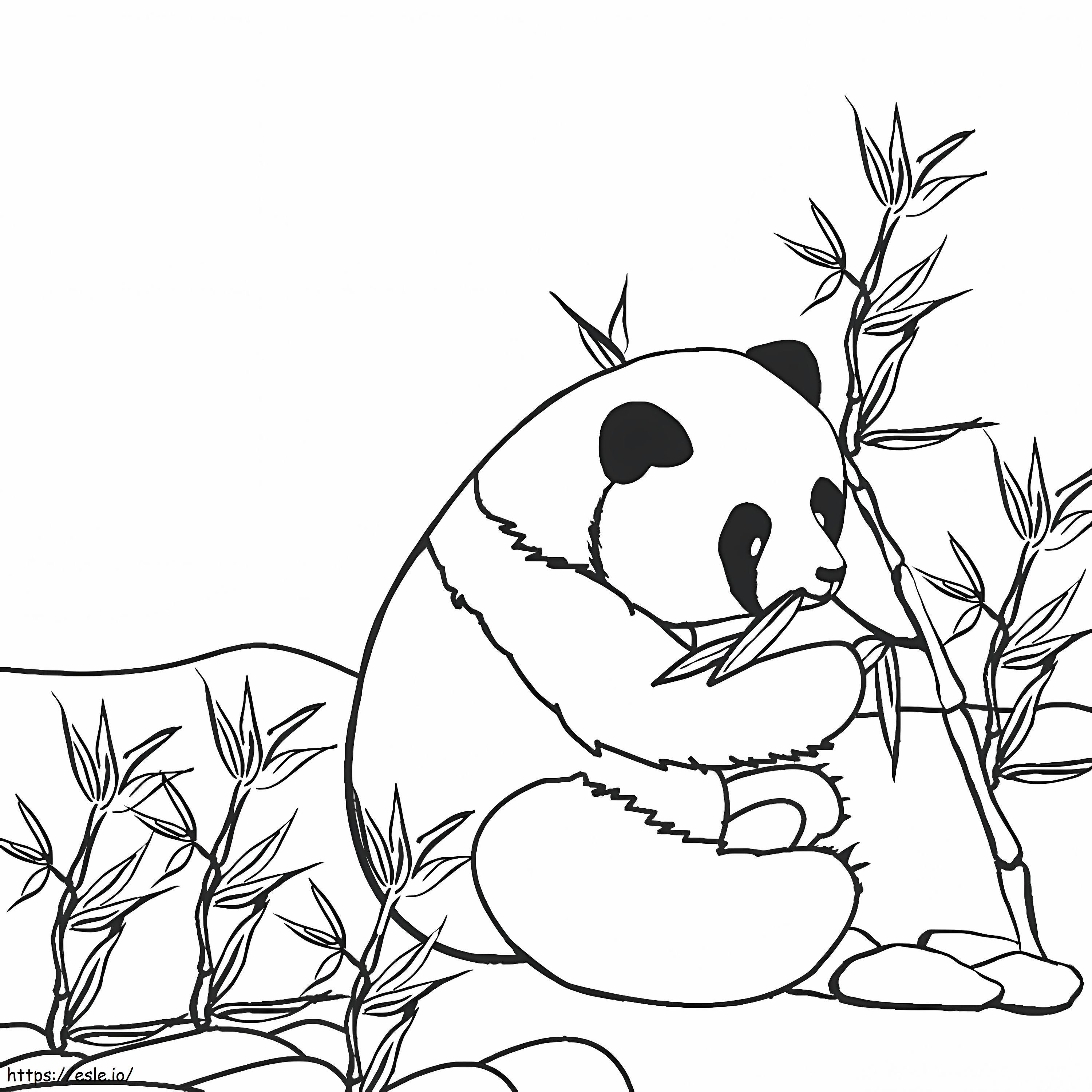 Pikku Panda syö bambua värityskuva