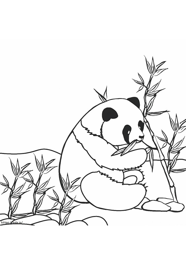 Micul panda care mănâncă bambus de colorat