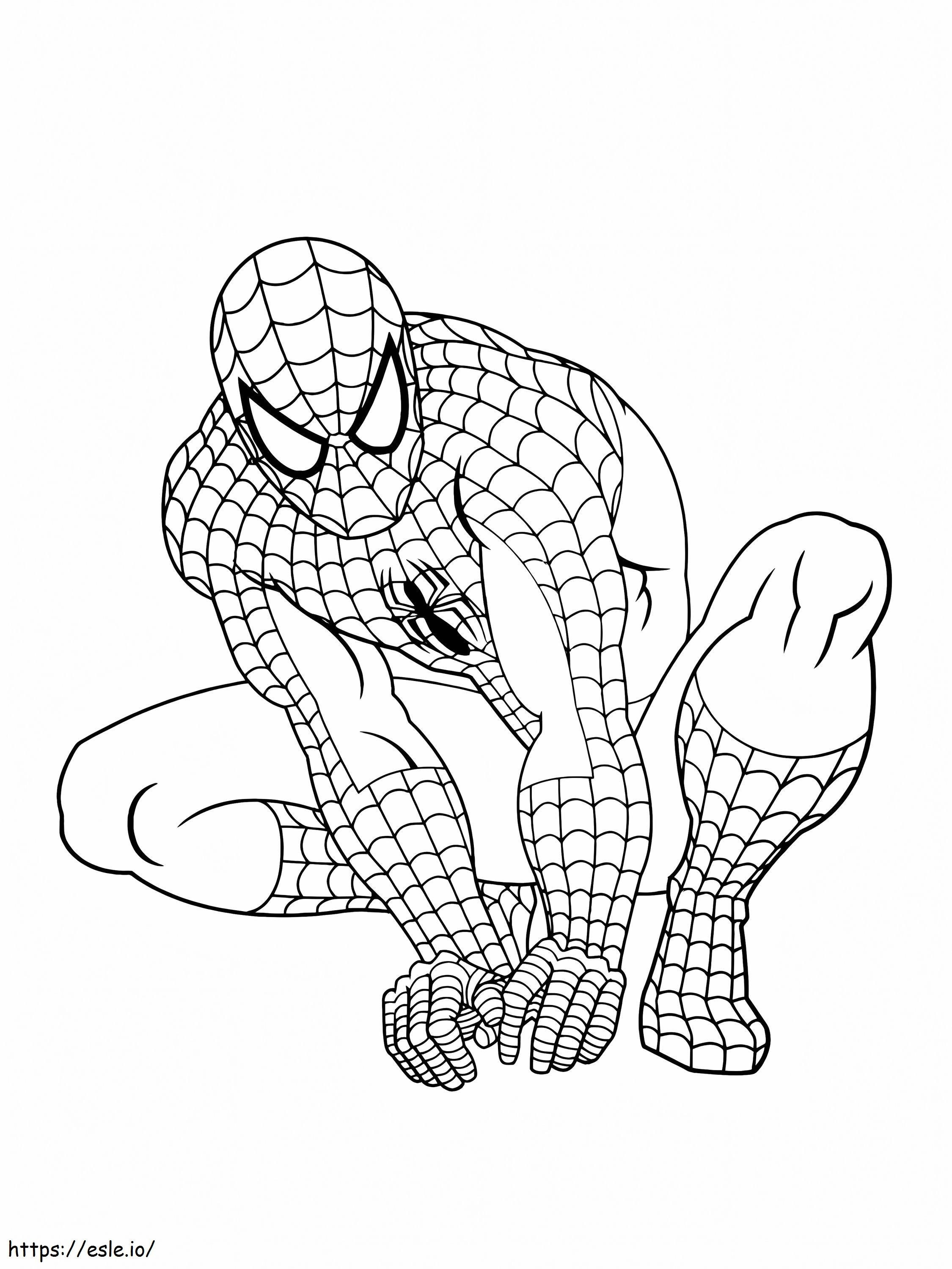 Spiderman 11 768X1024 värityskuva