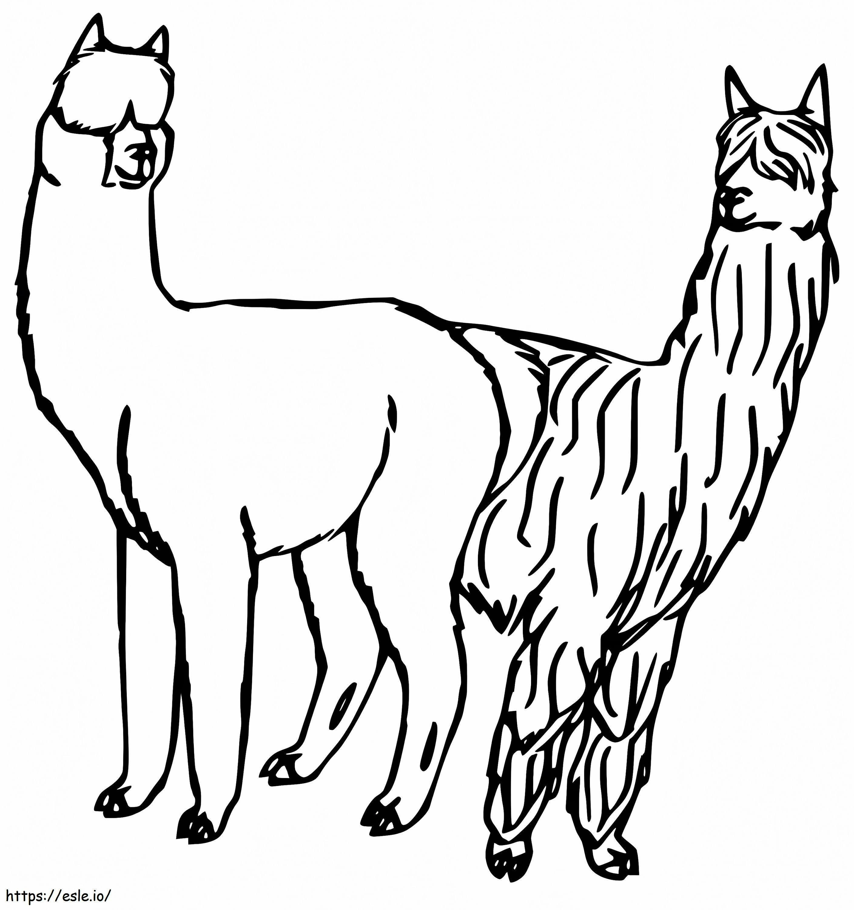 Alpaca En Lama kleurplaat kleurplaat