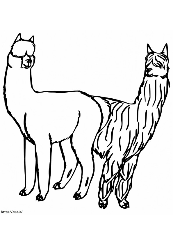 Alpaca And Llama coloring page