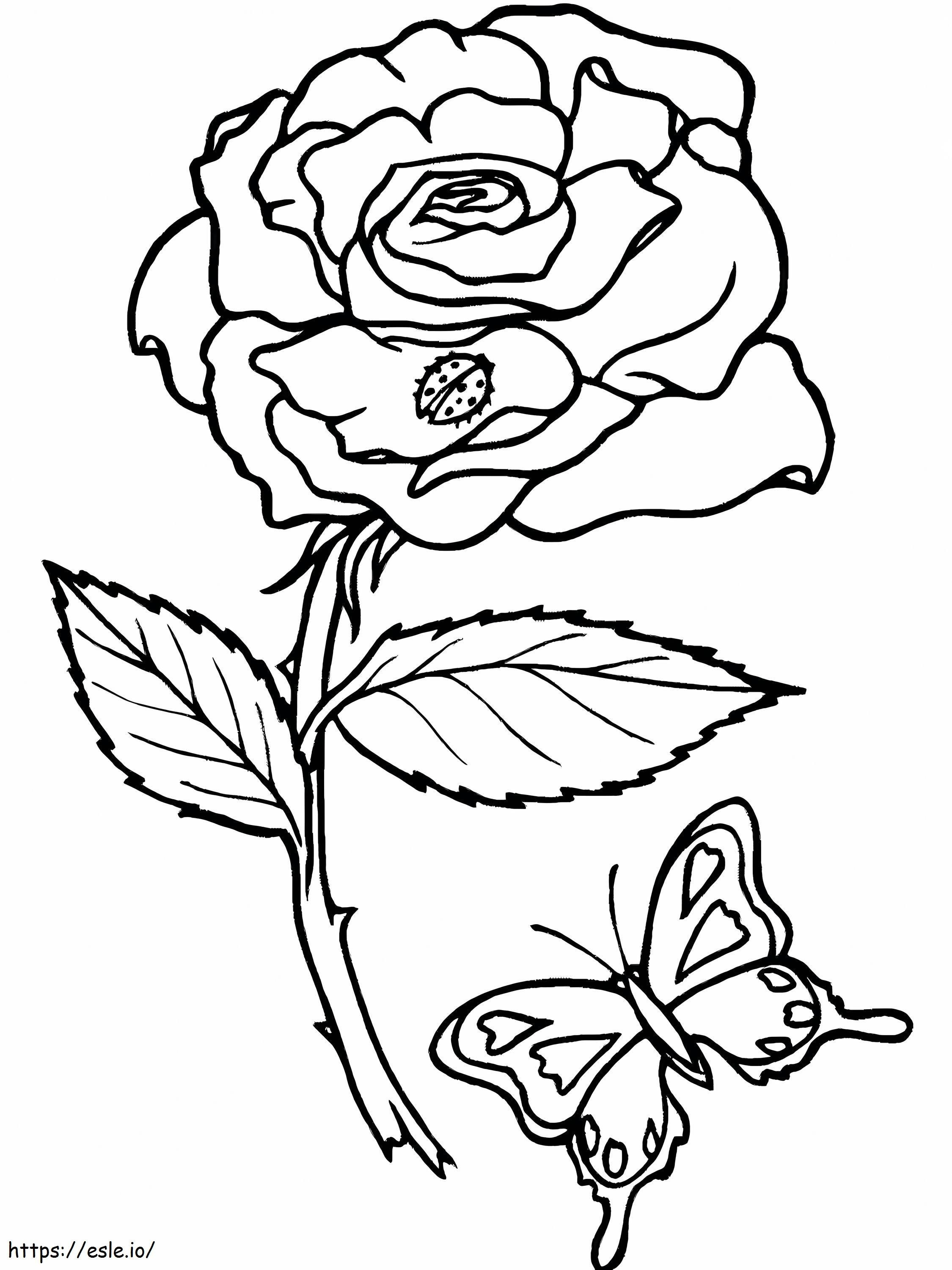 Rosa e borboleta para colorir