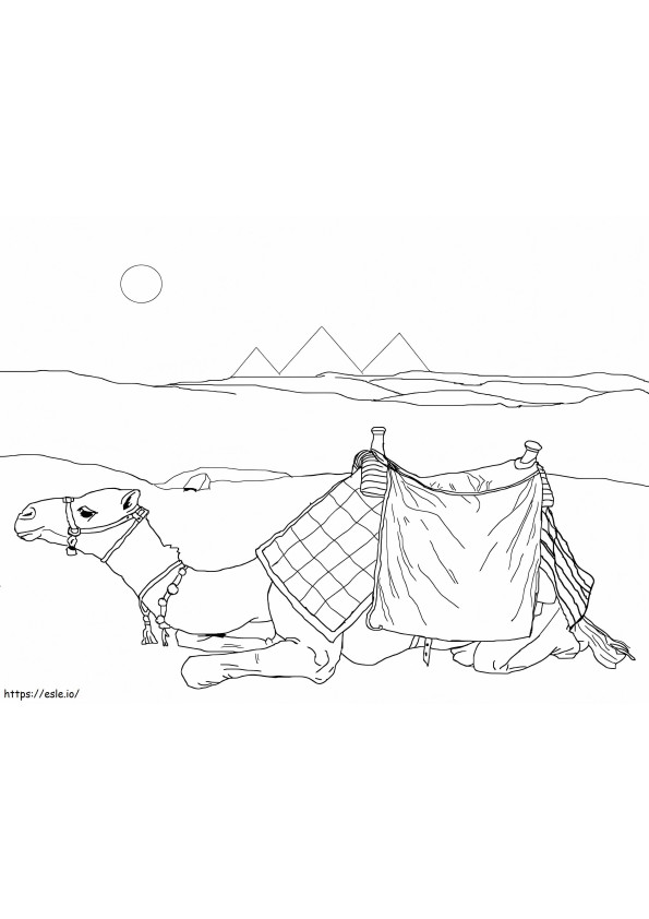 Coloriage Chameau dans le désert à imprimer dessin