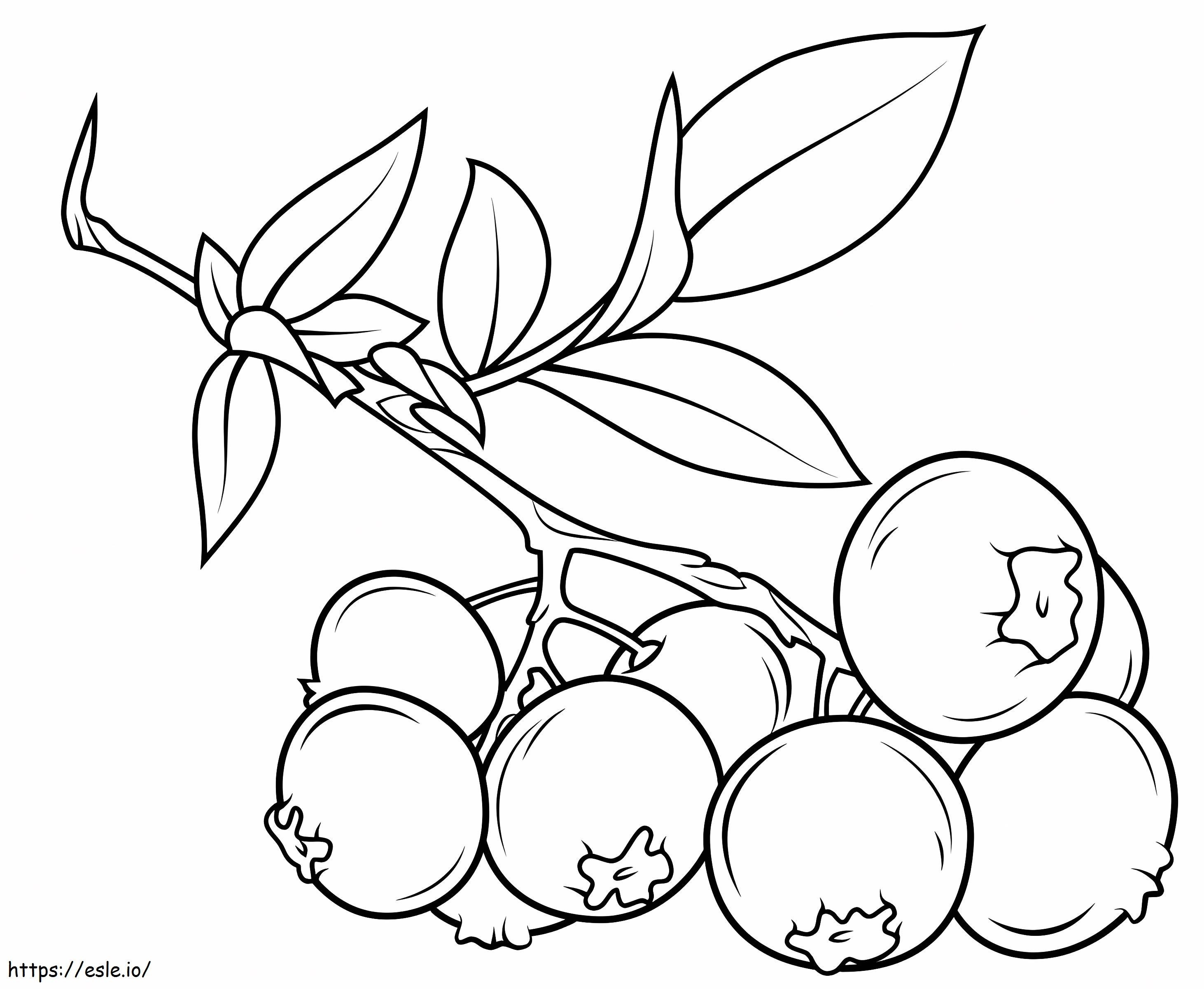 1559788199 Blueberry Branch A4 coloring page