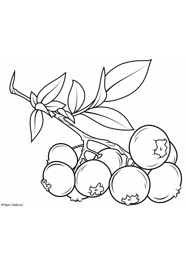 1559788199 Blueberry Branch A4 coloring page