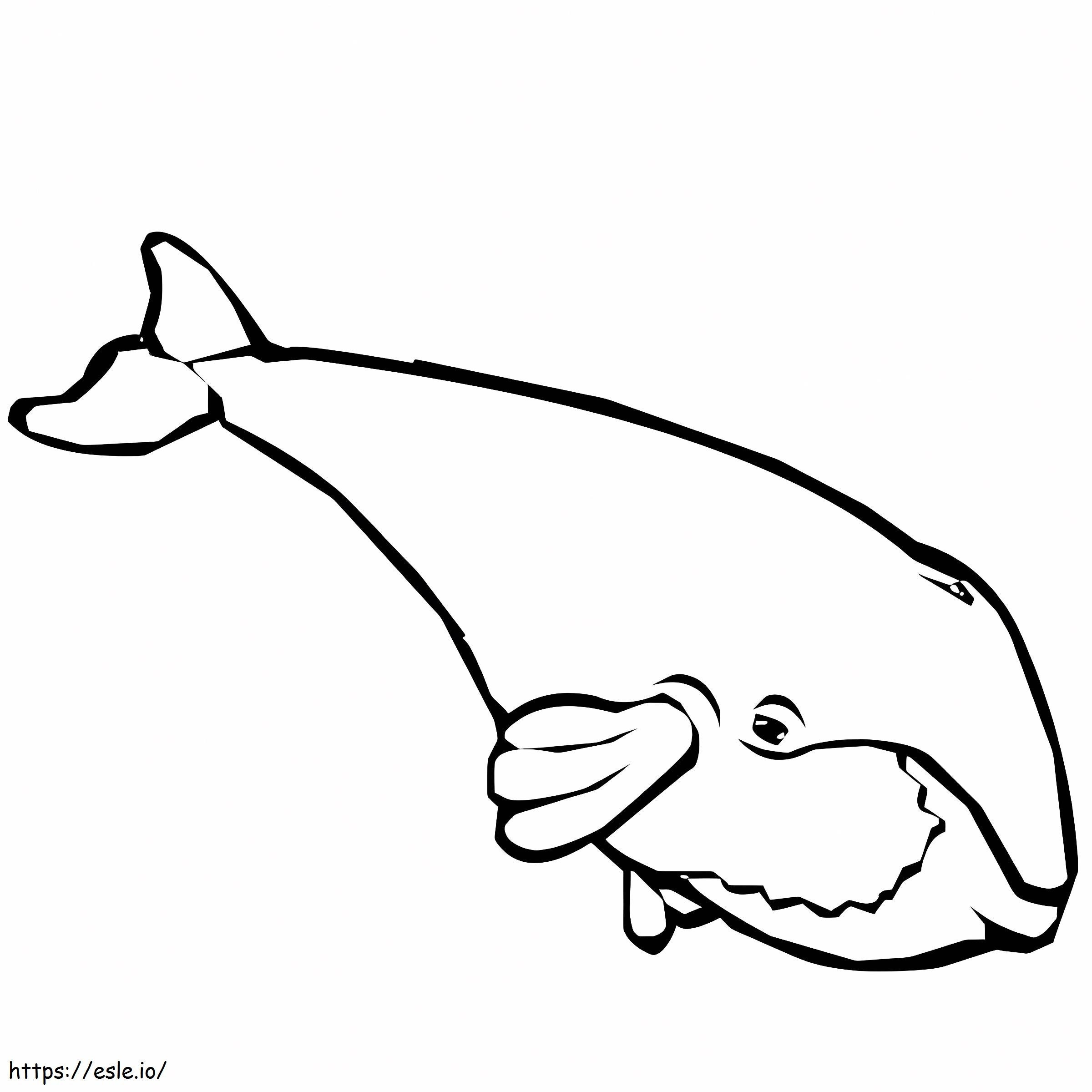 Balena di disegno semplice da colorare