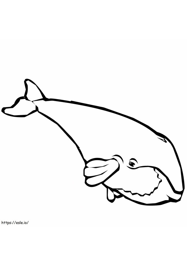 シンプルなクジラの描画 ぬりえ - 塗り絵