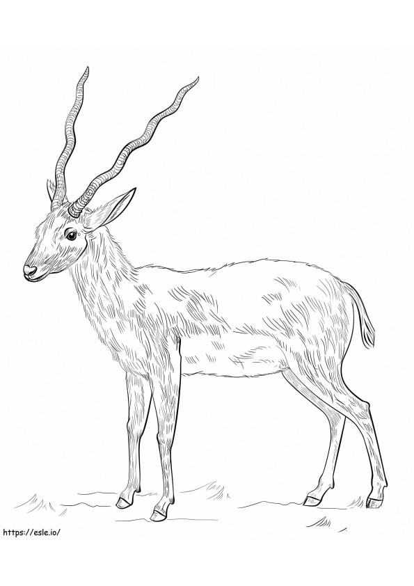 lisa-loud-from-the-loud-house-coloring-page