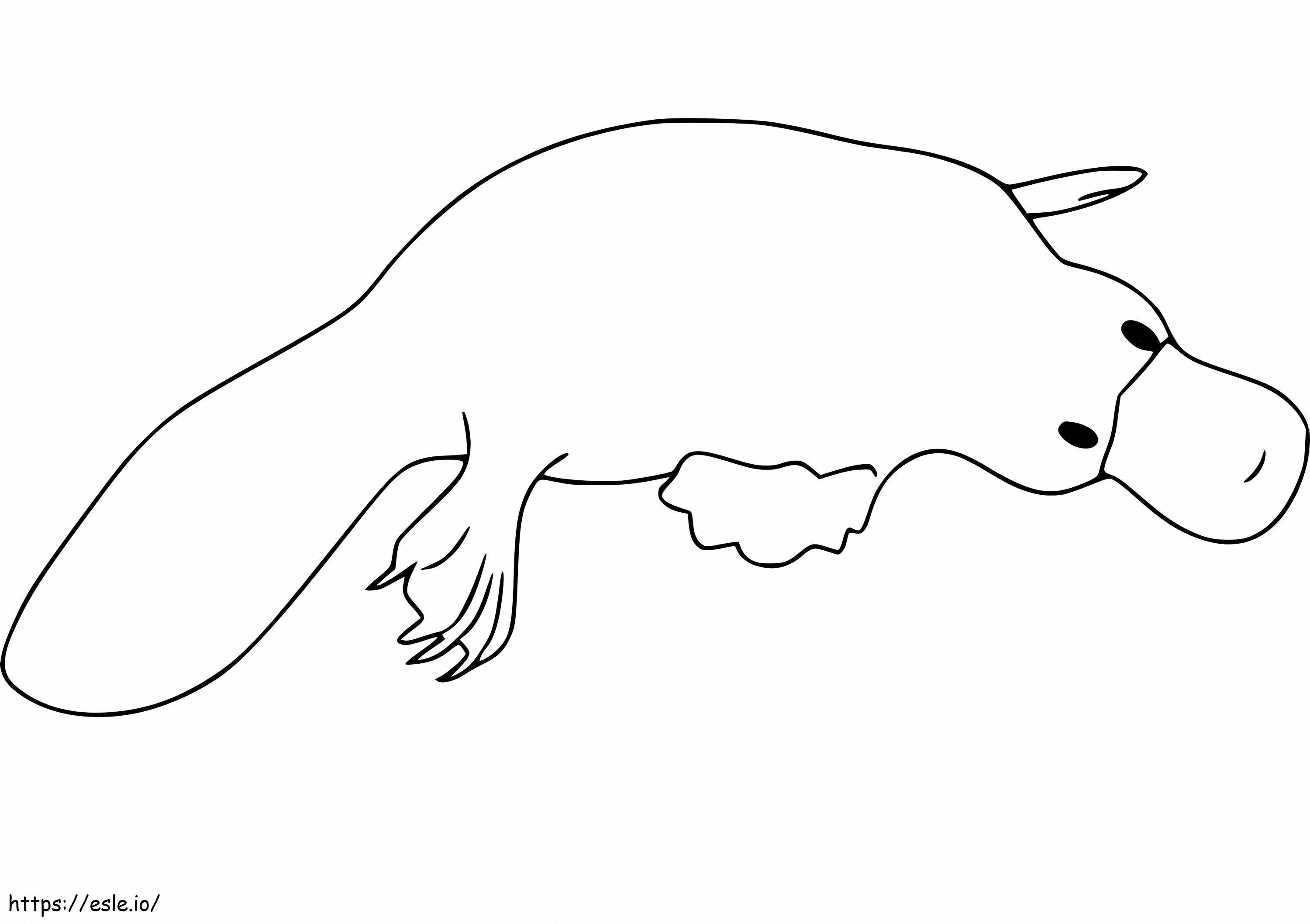 Platypus imprimabil de colorat