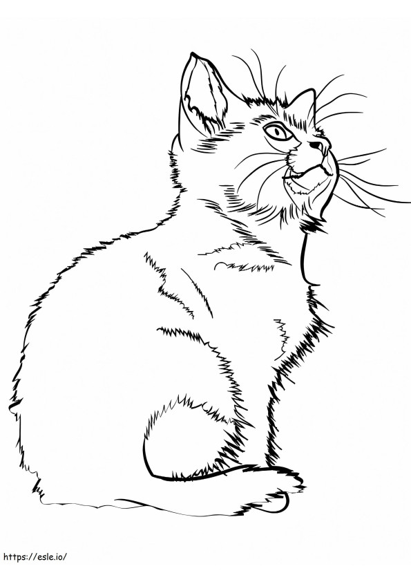 1585037863 Kittena coloring page