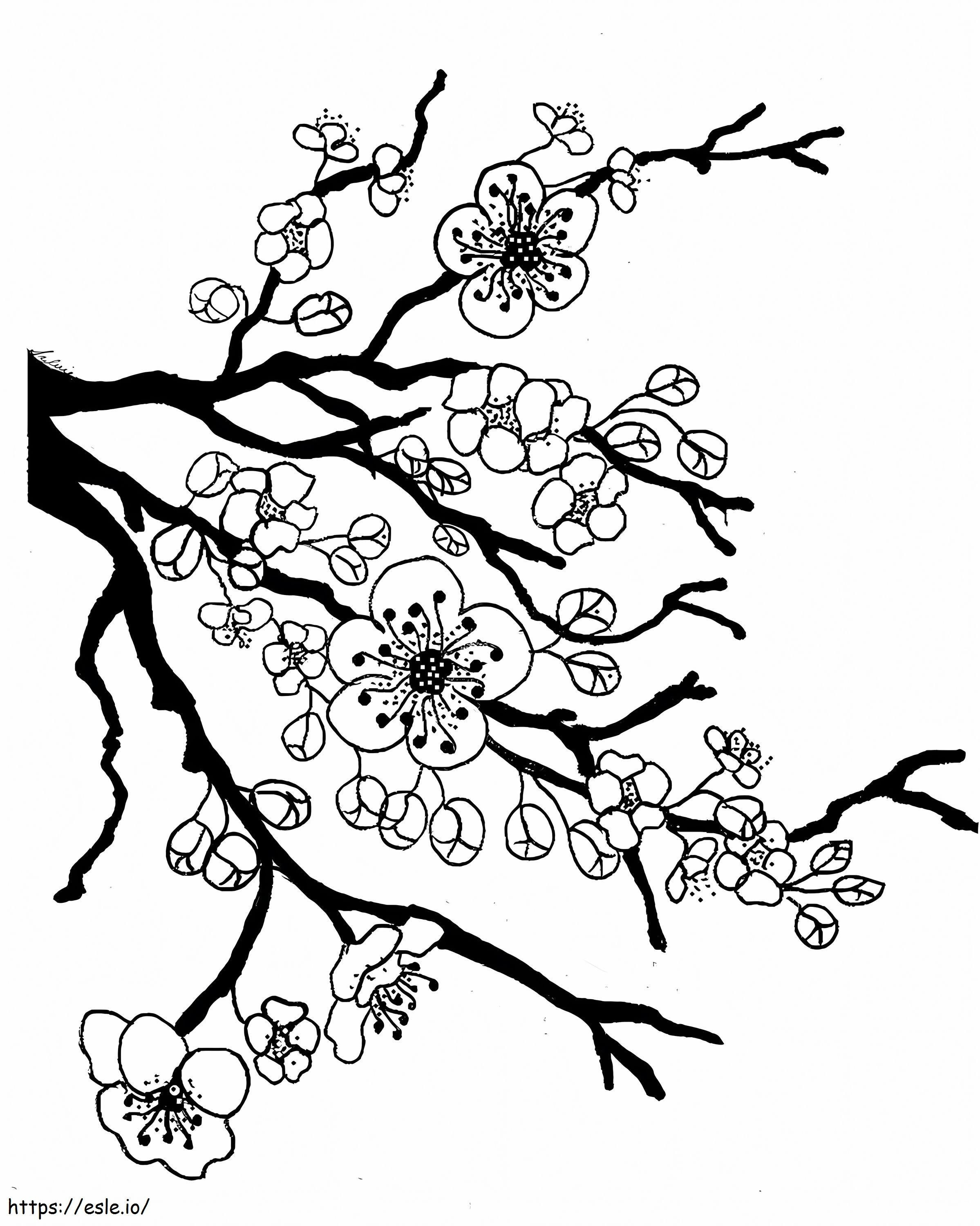 Basic Cherry Blossom coloring page