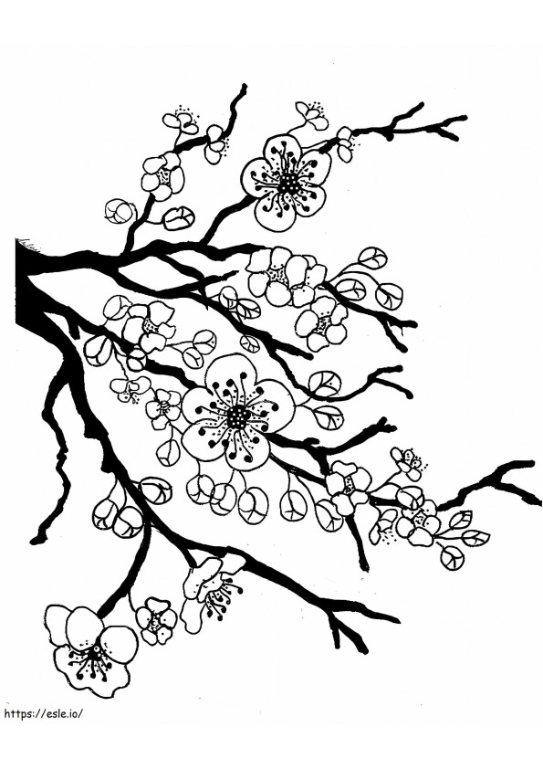 Coloriage Fleur de cerisier de base à imprimer dessin