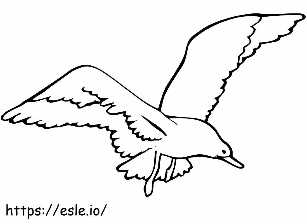 Flying Seagull coloring page