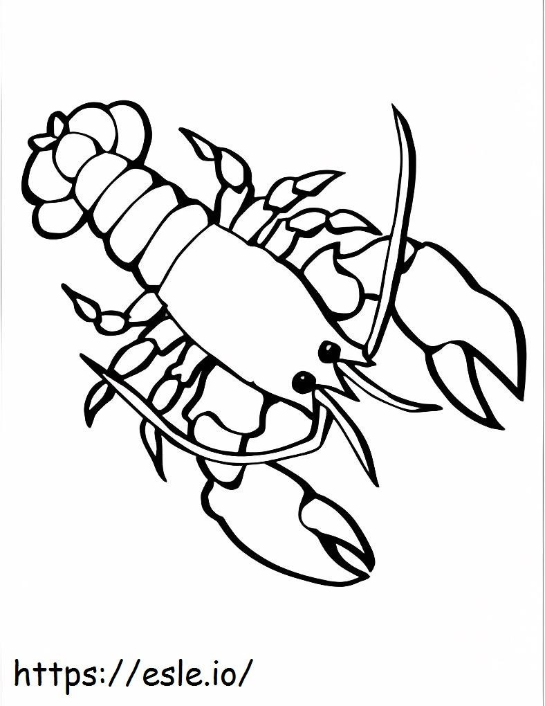 Nice Lobster coloring page