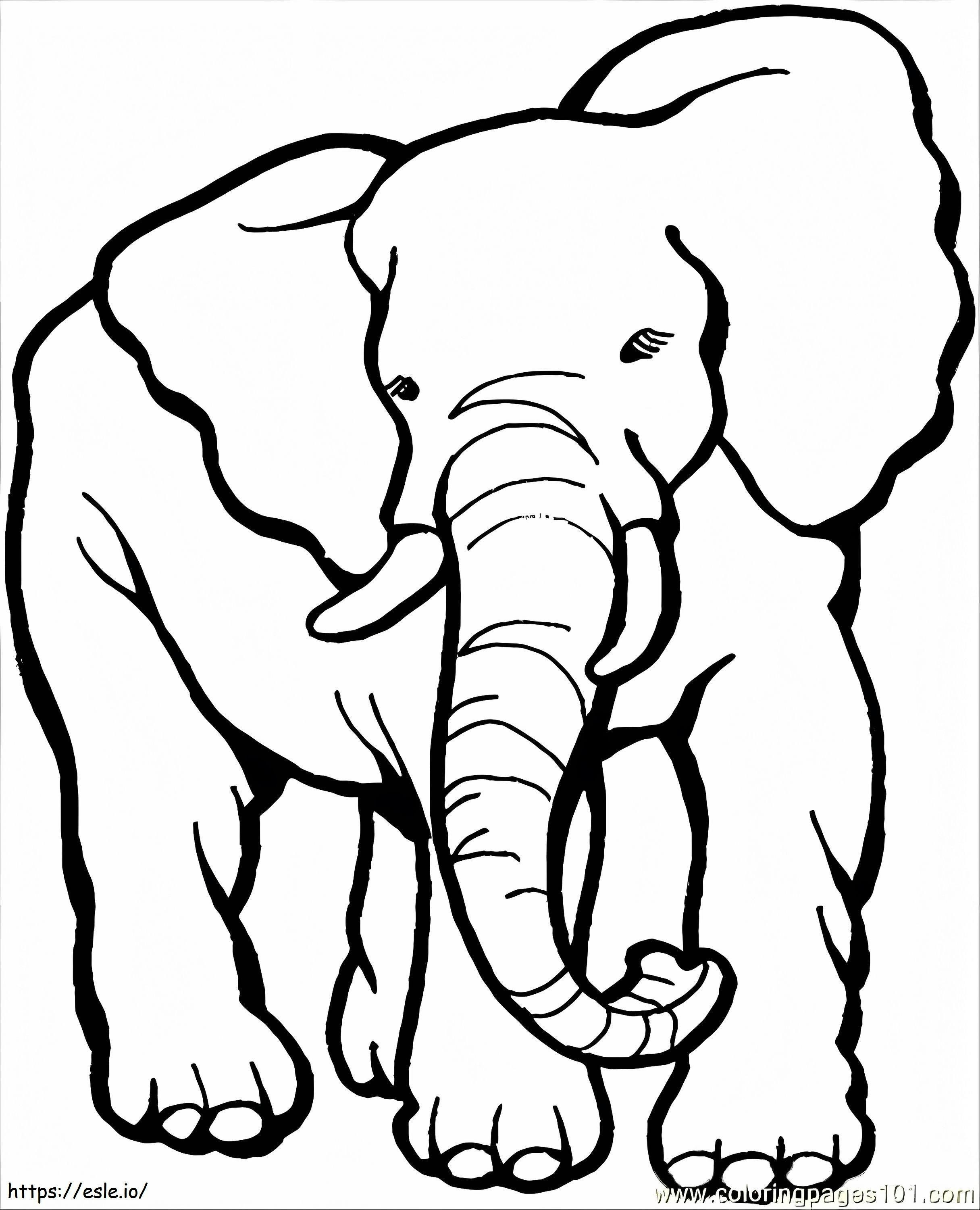 Grote olifant kleurplaat kleurplaat