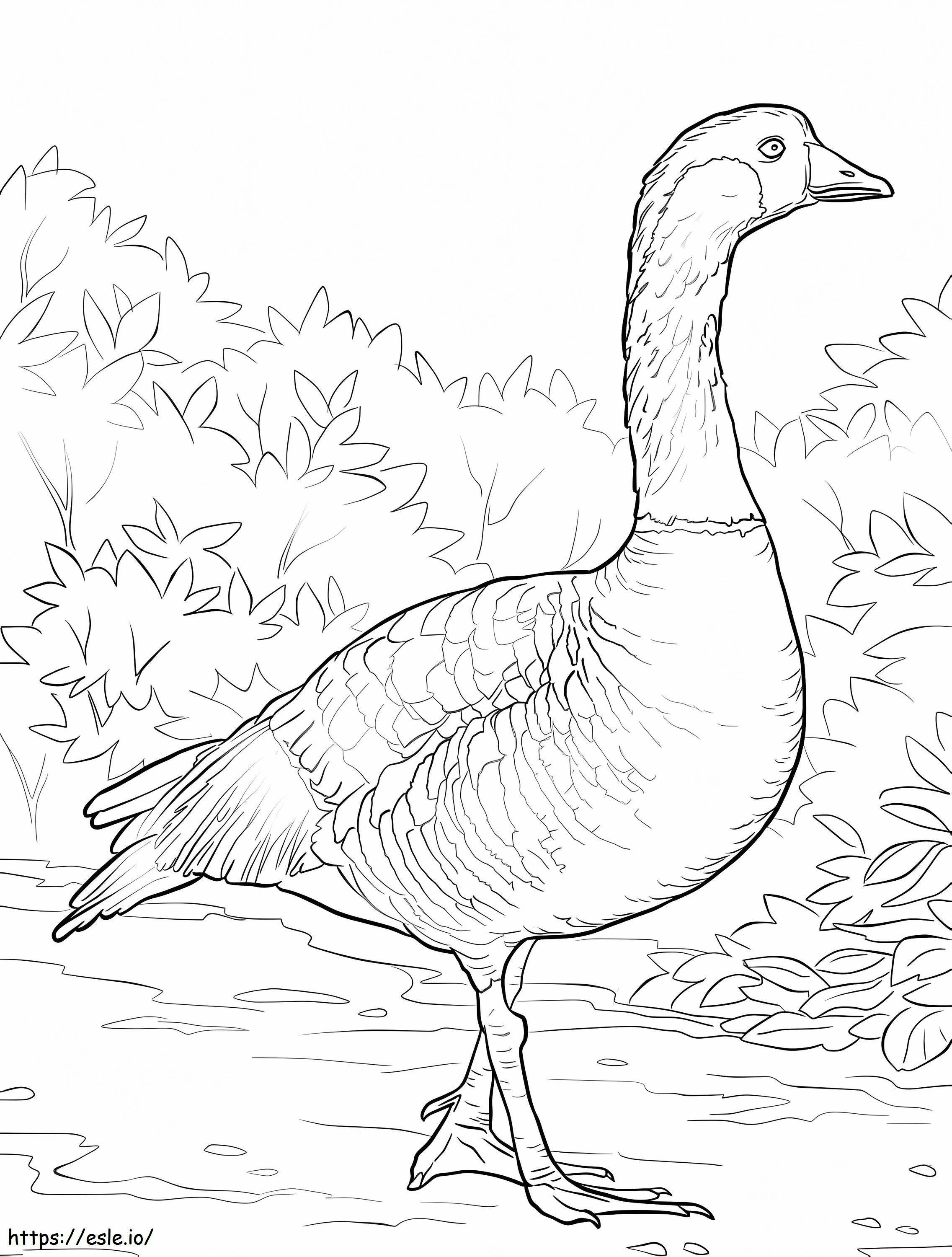 Nene coloring page