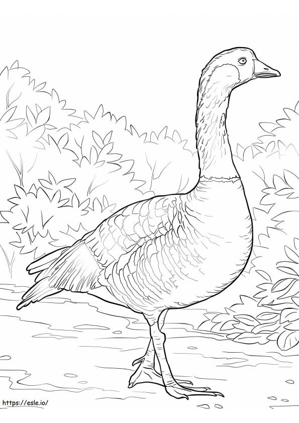 Nene coloring page