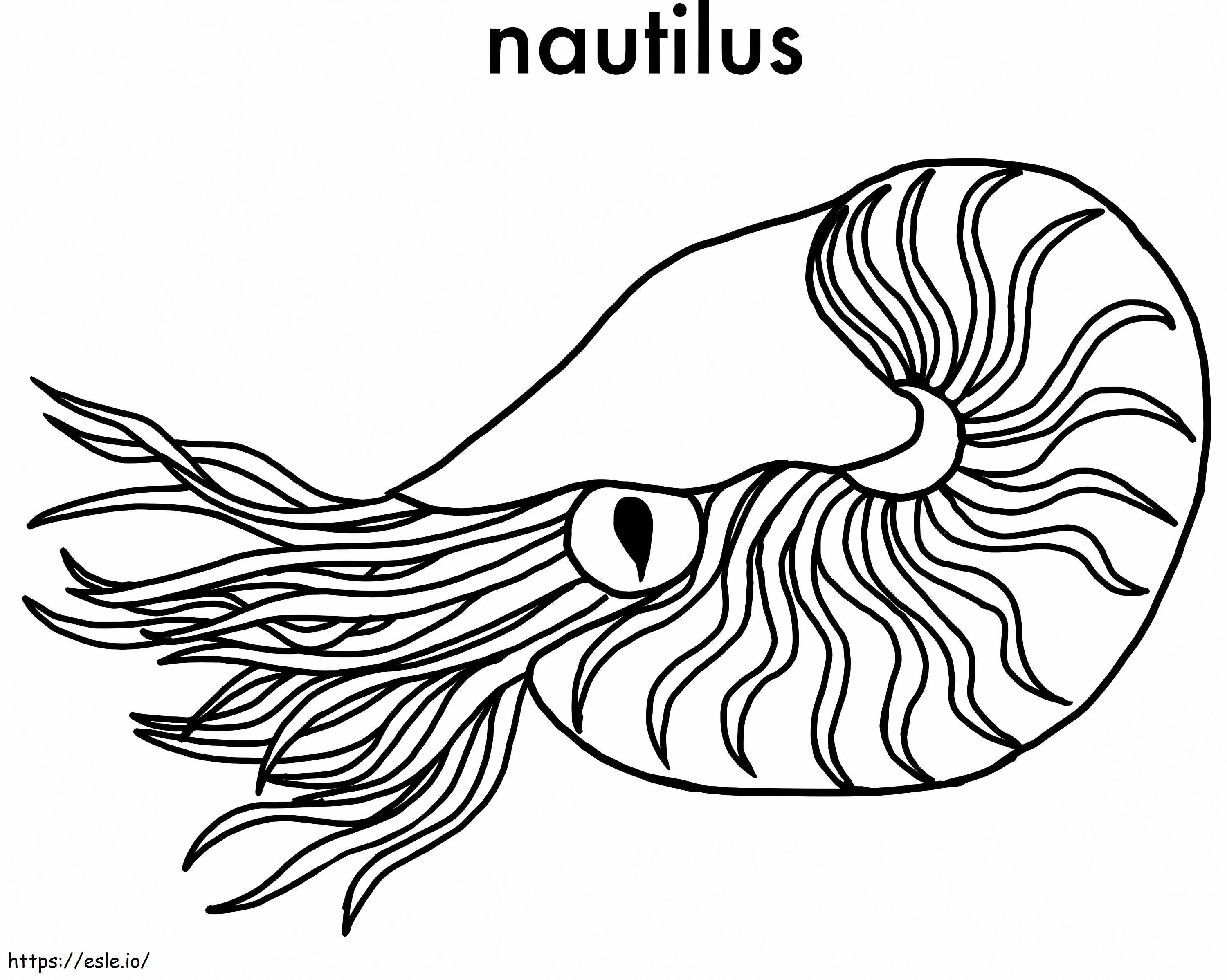 Coloriage Nautilus 3 à imprimer dessin