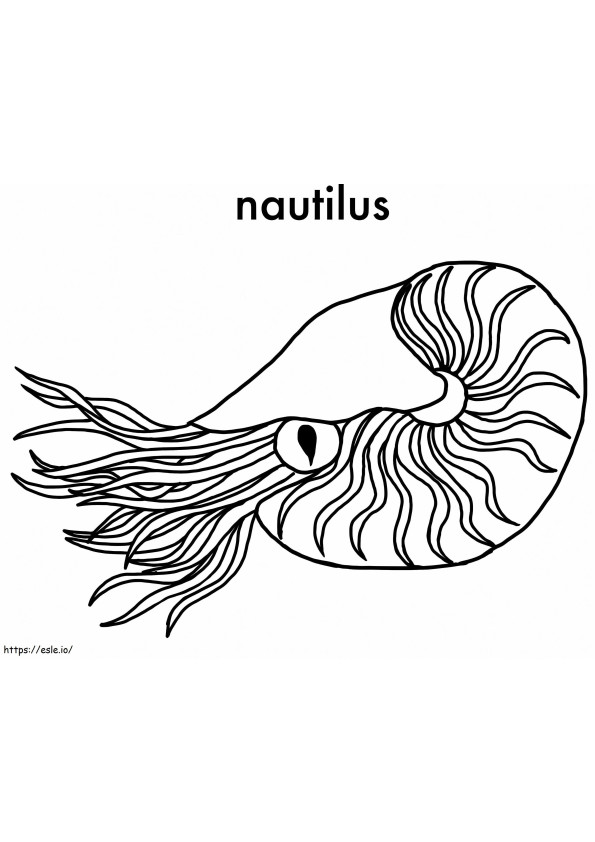 Nautilus 3 coloring page