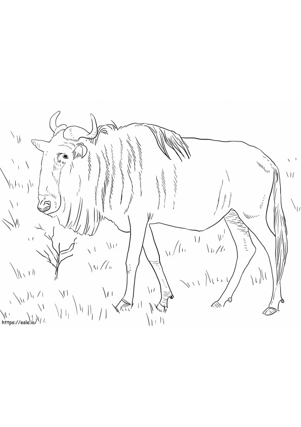Blue Wildebeest coloring page