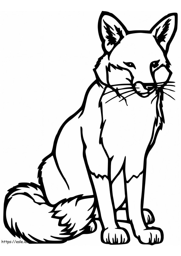Renard Roux 1 791X1024