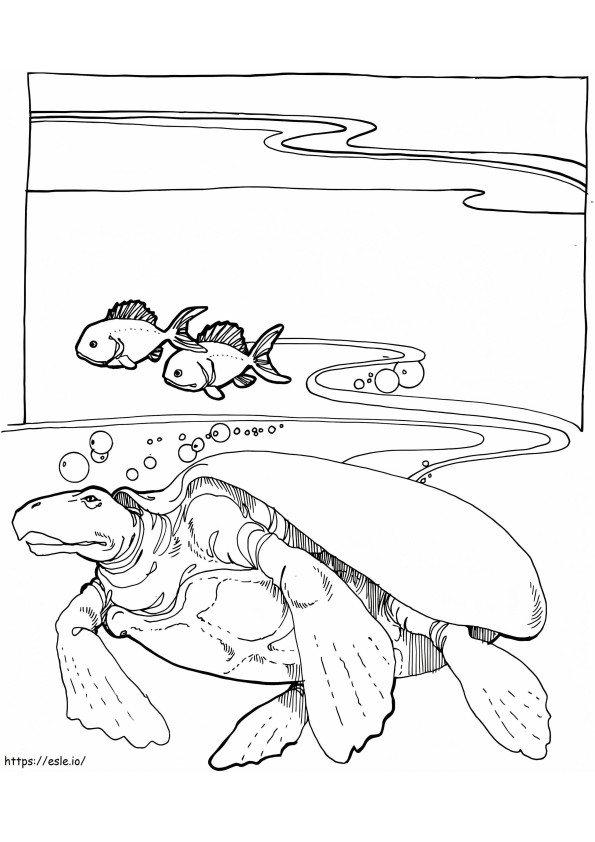 Tartaruga Marinha Extinta Archelon para colorir
