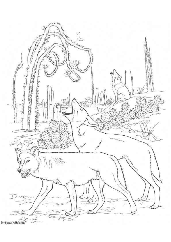 Coloriage Coyote2 à imprimer dessin